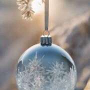 ヒメ日記 2025/12/23 08:37 投稿 アリサ Club 妻