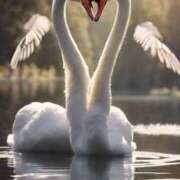 ヒメ日記 2026/01/01 08:40 投稿 アリサ Club 妻