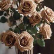 ヒメ日記 2026/01/27 08:37 投稿 アリサ Club 妻