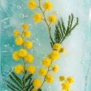 ヒメ日記 2026/03/17 08:36 投稿 アリサ Club 妻