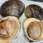 ヒメ日記 2026/03/18 08:44 投稿 アリサ Club 妻