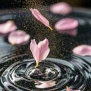 ヒメ日記 2026/03/23 08:39 投稿 アリサ Club 妻