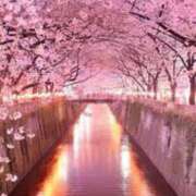 ヒメ日記 2026/03/26 08:43 投稿 アリサ Club 妻