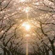 ヒメ日記 2026/04/04 08:38 投稿 アリサ Club 妻