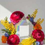 ヒメ日記 2026/04/13 08:42 投稿 アリサ Club 妻