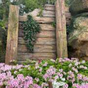 ヒメ日記 2026/04/29 08:36 投稿 アリサ Club 妻