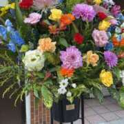 ヒメ日記 2024/12/17 09:22 投稿 せな ぷるるん小町日本橋店