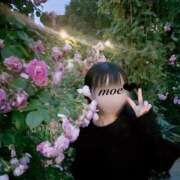 ヒメ日記 2025/05/24 11:11 投稿 もえ 横浜泡洗体デラックスエステ