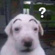 ヒメ日記 2025/10/31 21:20 投稿 神谷さくら ウルトラハピネス