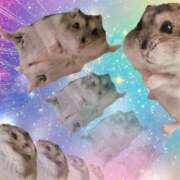 ヒメ日記 2025/11/09 23:04 投稿 神谷さくら ウルトラハピネス