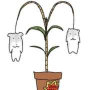 ヒメ日記 2025/11/11 20:35 投稿 神谷さくら ウルトラハピネス