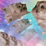 ヒメ日記 2026/01/01 00:19 投稿 神谷さくら ウルトラハピネス