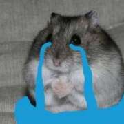 ヒメ日記 2026/01/05 14:19 投稿 神谷さくら ウルトラハピネス