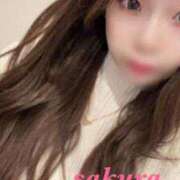 ヒメ日記 2024/12/24 19:19 投稿 サクラ ルパン