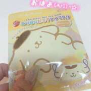 ヒメ日記 2024/12/28 10:08 投稿 サクラ ルパン