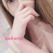 ヒメ日記 2024/12/29 19:29 投稿 サクラ ルパン