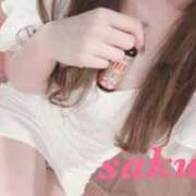 ヒメ日記 2025/01/11 13:59 投稿 サクラ ルパン