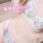 ヒメ日記 2025/01/14 11:42 投稿 サクラ ルパン