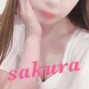 ヒメ日記 2025/01/17 14:06 投稿 サクラ ルパン