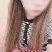 ヒメ日記 2025/01/20 14:01 投稿 サクラ ルパン