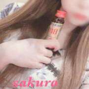 ヒメ日記 2025/01/23 14:48 投稿 サクラ ルパン