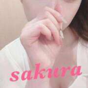 ヒメ日記 2025/01/29 14:04 投稿 サクラ ルパン