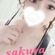 ヒメ日記 2025/02/13 01:00 投稿 サクラ ルパン