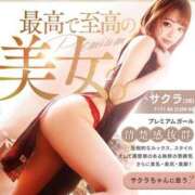 ヒメ日記 2025/03/12 21:16 投稿 サクラ ルパン