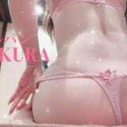 ヒメ日記 2025/03/29 17:02 投稿 サクラ ルパン