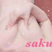 ヒメ日記 2025/06/11 20:01 投稿 サクラ ルパン