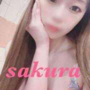 ヒメ日記 2025/08/01 14:01 投稿 サクラ ルパン