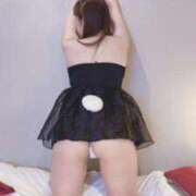 ヒメ日記 2025/08/03 12:18 投稿 サクラ ルパン