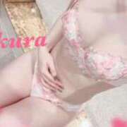 ヒメ日記 2025/08/09 11:28 投稿 サクラ ルパン