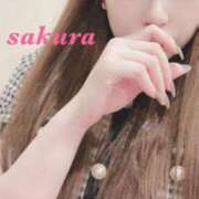 ヒメ日記 2025/08/25 12:08 投稿 サクラ ルパン