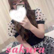 ヒメ日記 2025/09/20 12:19 投稿 サクラ ルパン