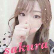 ヒメ日記 2025/09/21 11:46 投稿 サクラ ルパン