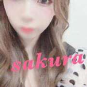 ヒメ日記 2025/10/03 01:45 投稿 サクラ ルパン