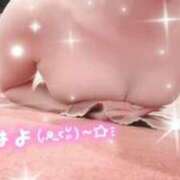 ヒメ日記 2025/10/04 11:11 投稿 サクラ ルパン