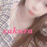 ヒメ日記 2025/10/12 21:01 投稿 サクラ ルパン