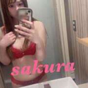 ヒメ日記 2025/10/24 12:58 投稿 サクラ ルパン