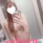 ヒメ日記 2025/11/12 21:04 投稿 サクラ ルパン