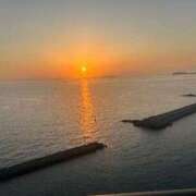 ヒメ日記 2025/11/27 09:58 投稿 サクラ ルパン