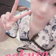 ヒメ日記 2025/12/18 11:48 投稿 サクラ ルパン