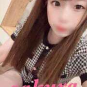 ヒメ日記 2025/12/27 10:59 投稿 サクラ ルパン