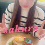 ヒメ日記 2026/01/15 11:15 投稿 サクラ ルパン