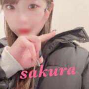 ヒメ日記 2026/02/08 12:59 投稿 サクラ ルパン