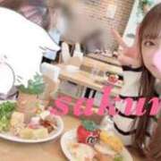 ヒメ日記 2026/02/10 18:02 投稿 サクラ ルパン