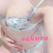 ヒメ日記 2026/02/20 11:11 投稿 サクラ ルパン