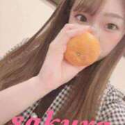 ヒメ日記 2026/02/26 17:02 投稿 サクラ ルパン