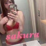 サクラ 13時！ ルパン